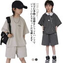 子供服 2点セットアップ ジャージ キッズ 男の子 夏 韓国こども服 半袖 Tシャツ+パンツ 半袖 パンツ セットアップ 吸水速乾 カジュアル ジュニア ベビー...