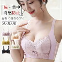 育乳ブラ 大きいサイズ 脇肉 背肉 ブラジャー ナイトブラ 育乳 補正 盛れる ブラ 脇高 設計 大きい 胸 盛れる バスト 谷間 補正下着 垂れ スッキリ
