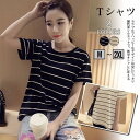 Tシャツ 半袖 夏 目玉 新作 レディース ファション カジュアル トップス 通勤 通学 女性