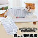 猫 術後服 術後ウェア ボーダー 服 傷 舐めない 傷口保護 ペット用品 ペット服 エリザベスカラー