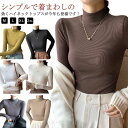 Tシャツ ハイネック レディース 大きいサイズ 暖かい インナーシャツ カットソー 長袖 無地 タートルネック ハイネック 防寒インナー レディース(4)