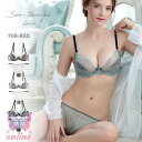 シースルーレースブラショーツセット ブラジャー ショーツ ノンパテ ノンパテット ノンパット 大きいサイズ ワイヤー入り B-Dカップ 70-85 レディース
