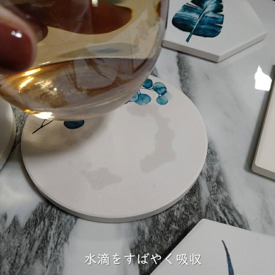 ボタニカ 珪藻土 コースター 吸水 植物 ナチ...の紹介画像2