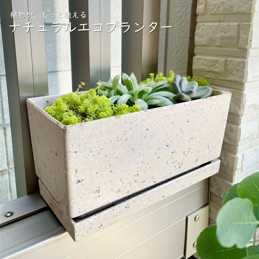 スプラウト プランター Sprout planter エコ 環境にやさしい 多肉植物 寄せ植え 野菜 ハーブ キッチン 園芸 屋内 室内 天然素材 自然環境 ベージュ ブラックプランター