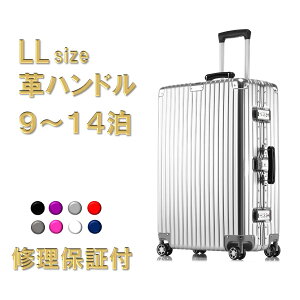 スーツケース XLサイズ キャリーケース キャリーバッグ ビジネス 出張 国内 海外 フレーム TSAロック あす楽対応 7泊 8泊 9泊 10泊 シンプル ダブルキャスター 保証付き 送料無料