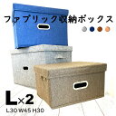 収納ボックス 2個セット Lサイズ 大容量 布 取っ手 おも