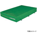 エバニュー 屋内外兼用エバーマット スイム・体操 エバーメッシュマット2×3×0.4 EGD002