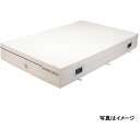 エバニュー 屋内用エバーマット スイム・体操 抗菌屋内エバーマット200×300×30 EGD223