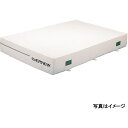 エバニュー 屋内用エバーマット スイム・体操 抗菌屋内エバーマットすべり止付200×300×40 EGD244