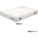 エバニュー 屋内用エバーマット スイム・体操 交換袋EGD241用 EGD251(4)