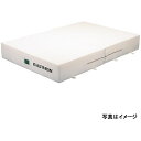 エバニュー 屋内用エバーマット スイム・体操 抗菌屋内エバーマット二ツ折200×300×40 EGD264