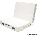 エバニュー 屋内用エバーマット スイム・体操 抗菌屋内エバーマット二ツ折すべり止付200×300×40 EGD284