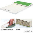 エバニュー 体操マット スイム・体操 抗菌合成スポンジマットすべり止付6号120×600×6 EKM175