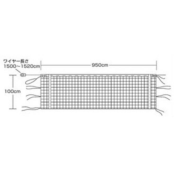 エバニュー バレーネット バレー、バスケ、ハンド バレーボールネット6人制検定V115 EKU108