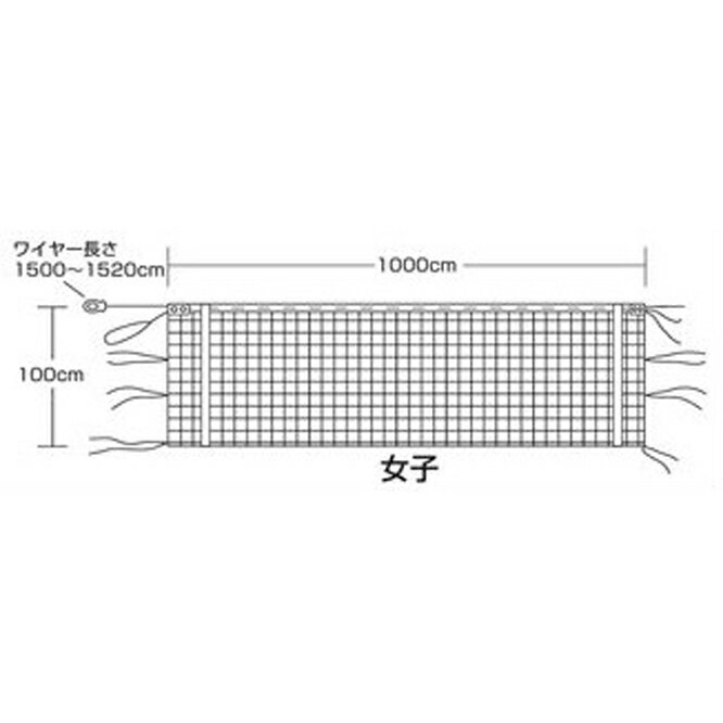 エバニュー バレーネット バレー、バスケ、ハンド バレーボールネット9人制女子検定V116 EKU115