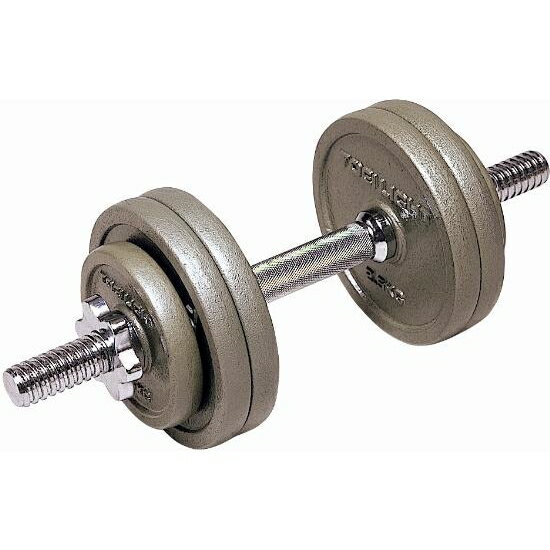 トーエイライト ダンベル ボディケア フィットネス バーベルプレートダンベル15 H-9250