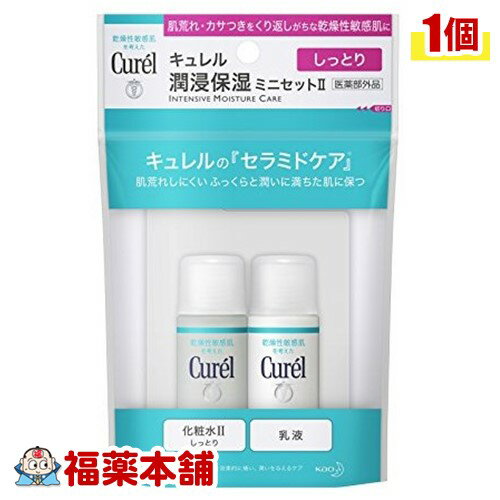 キュレル フェイスケア 潤浸ミニセット2 (60ml) 肌荒れ カサつきに 旅行 お泊り セット [ゆうパケット・送料無料] 「YP30」のサムネイル