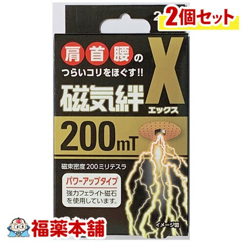 磁気絆X(エックス) 21粒×2個 [ゆうパケット・送料無料]