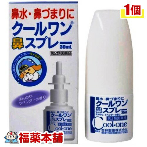 【第2類医薬品】クールワン 鼻スプレー (30ml) 鼻水・鼻詰まりに [宅配便・送料無料] 1