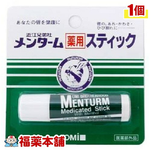 メンターム 薬用スティック レギュラー [ゆうパケット・送料無料]