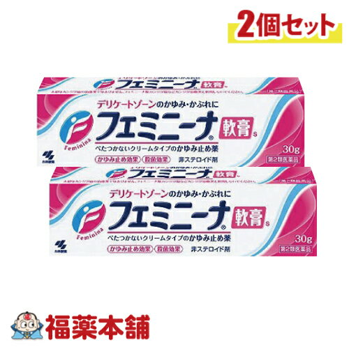 【第2類医薬品】フェミニーナ軟膏S 30g ×2個 デリケートゾーンのかゆみ かぶれ [ゆうパケット・送料無料]