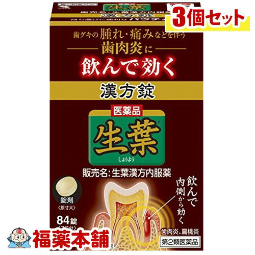 【第2類医薬品】生葉漢方錠(84錠)×3個 [宅配便・送料無料] 1