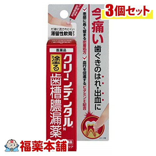 【第3類医薬品】クリーンデンタルN(16g)×3個 [宅配便・送料無料]