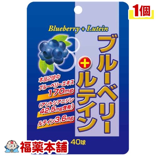 SP ブルーベリー+ルテイン 40球 [ゆうパケット送料無料] YP20 