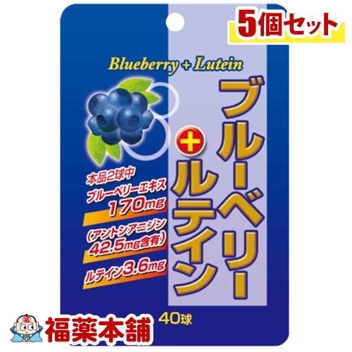 SP ブルーベリー+ルテイン 40球 5個 [ゆうパケット送料無料]