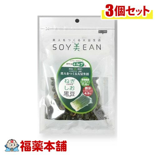SOY美EAN ねぎ・塩・黒豆58g×3個入 [ゆうパケット・送料無料] 大豆 植物性たんぱく質 手軽に摂れる