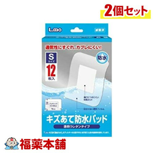 エルモ キズあて防水パッドS 12枚×2個 [ゆうパケット・送料無料]