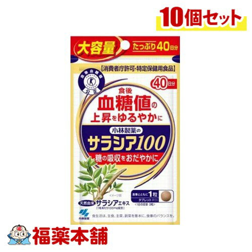 小林製薬 【特定保健用食品】 サラシア100 (大容量) 120粒×10個 [ゆうパケット・送料無料]