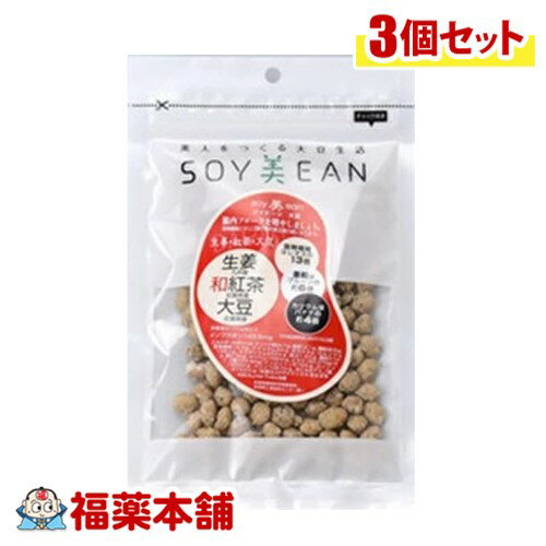 SOY美EAN 生姜・和紅茶・大豆72g×3個入 [ゆうパケット・送料無料] 大豆 植物性たんぱく質 手軽に摂れる