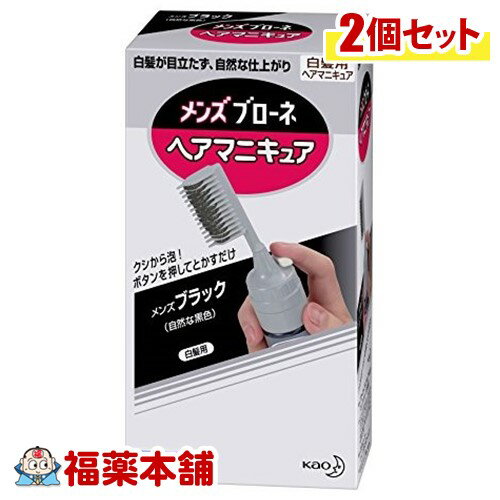 メンズブローネ ヘアマニキュアブラック本体×2個 ［宅配便・送料無料］