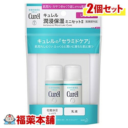 キュレル フェイスケア 潤浸ミニセット2 (60ml) ×2個セット 肌荒れ カサつきに 旅行 お泊