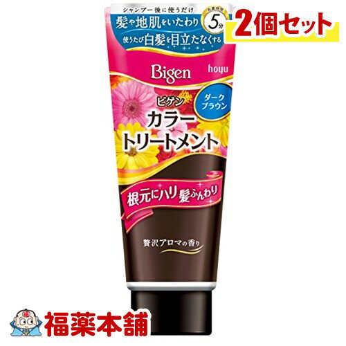 ビゲンカラーTRダークブラウン180g×2個 ［宅配便・送料無料］