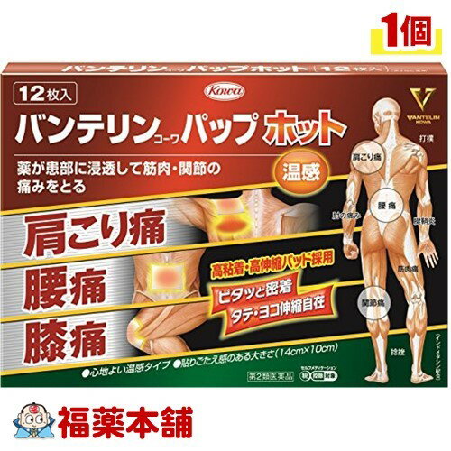【第2類医薬品】バンテリンコーワ パップホット(12枚入) [宅配便・送料無料]