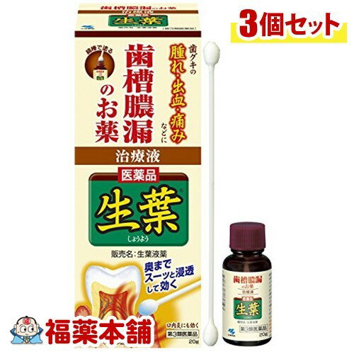 詳細情報商品詳細●塗って治す歯槽膿漏薬●綿棒で塗る●歯と歯茎のすきまにもすばやくしみ込む液体タイプ●殺菌作用：ヒノキチオール(ヒバ含有成分)、塩化セチルピリジニウム●抗炎症作用：グリチルリチン酸ニカリウム(甘草由来成分)●組織修復作用：アラントイン●生葉液薬は歯茎の腫れ・うみ・痛み・むずがゆさ、口臭など歯肉炎・歯槽膿漏における諸症状、口内炎に優れた効きめがあります。●生葉液薬は液体タイプなので、4つの有効成分を歯周ポケットにもすばやく行きわたらせ、効果的に作用し、優れた効きめを発揮します。●生葉液薬は歯茎にスーッとしみ込むような爽やかな使用感です。歯肉炎、歯槽膿漏における諸症状(歯ぐきの出血・発赤・はれ・うみ・痛み・むずがゆさ・口のねばり、口臭)の緩和、口内炎用法 用量歯肉炎・歯槽膿漏：1日2回(朝・晩)ブラッシング後、適量(約0.3g)を綿棒を用いて歯ぐきにに塗り込む。口内炎：1日2-4回、適量を患部に塗布する。「用法・用量に関する注意」(1)小児に使用させる場合には、保護者の指導監督のもとに使用させること(2)歯科用にのみ使用すること製品のお問合せ先(小林製薬株式会社 お客様相談室) 0120-5884-01(受付時間9：00-17：00 土日祝日を除く)発売元小林製薬株式会社〒541-0045 大阪市中央区道修町4-4-10製造販売元小林製薬株式会社〒567-0057 大阪府茨木市豊川1-30-3成分(100g中)有効成分：分量、働きヒノキチオール：0.1g、殺菌作用塩化セチルピリジニウム：0.05g、殺菌作用グリチルリン酸ニカリウム：0.4g、抗炎症作用アラントイン：0.3g、組織修復作用●添加物として、エデト酸カルシウムニナトリウム、クエン酸、モノオレイン酸ポリオキシエチレンソルビタン、ハッカ油、キシリトール、香料、プロピレングリコール、エタノールを含有する。●添加物としてエデト酸Na、ジイソプロパノールアミン、ステアリルアルコール、セタノールを含有します。(その他の添加物成分は、説明文書をご覧ください。注意事項★保管および取扱い上の注意・直射日光の当たらない涼しいところに密栓して保管すること・小児の手のとどかないところに保管すること・他の容器に入れ替えないこと(誤用の原因になったり品質が変わる)★使用上の注意「相談すること」1.次の人は、使用前に医師、歯科医師または薬剤師に相談すること。(1)医師または歯科医師の治療を受けている人(2)本人または家族がアレルギー体質の人(3)薬によりアレルギー症状を起こしたことがある人2.次の場合は、直ちに使用を中止し、この文書を持って医師または薬剤師に相談すること。(1)使用後、次の症状があらわれた場合「関係部位：症状」・皮ふ：発疹・発赤・かゆみ・その他：味覚異常(2)5-6回使用しても症状がよくならない場合・ご使用に際し、この説明書きを必ずお読みください。・また必要な時に読めるよう大切に保管してください。・使用期限(外箱およびボトル裏面に記載)を過ぎた製品は使用しないこと。製造販売元小林製薬広告文責株式会社福田薬局　薬剤師：福田晃 商品のお問合せ本剤について、何かお気付きの点がございましたら、福薬本舗(ふくやくほんぽ)又は下記までご連絡お願いします。●製造販売／販売会社小林製薬541-0045 大阪府大阪市中央区道修町4-4-10※お問合せ番号は商品詳細参照受付時間：午前9:00−午後5:00 / (土・日・祝日・年末年始を除く) 救済制度のご相談●医薬品副作用救済制度独立行政法人医薬品医療機器総合機構〒100-0013 東京都千代田区霞が関3-3-2　新霞が関ビルフリーダイヤル 0120-149-931 受付時間：午前9:00−午後5:00 / (土・日・祝日・年末年始を除く)