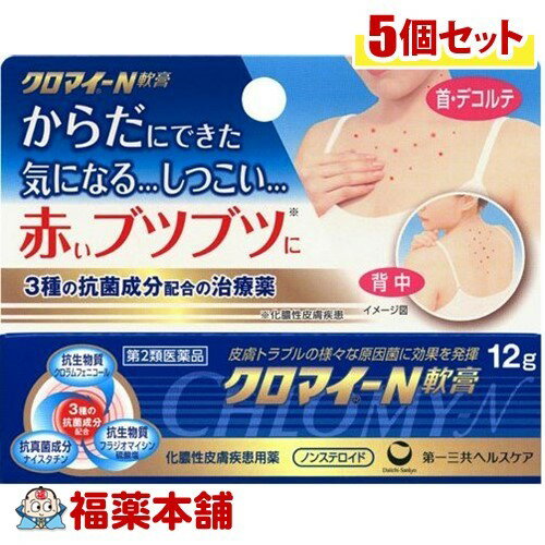 【第2類医薬品】クロマイ-N軟膏(12g)×5個 [ゆうパケット送料無料]