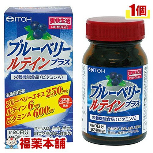 井藤漢方 ブルーベリー ルテインプラス 60球 [宅配便・送料無料]