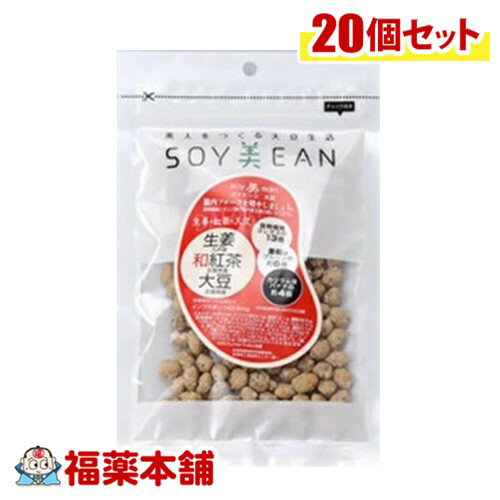SOY美EAN 生姜・和紅茶・大豆72g×20個入 [宅配便・送料無料] 大豆 植物性たんぱく質 手軽に摂れる