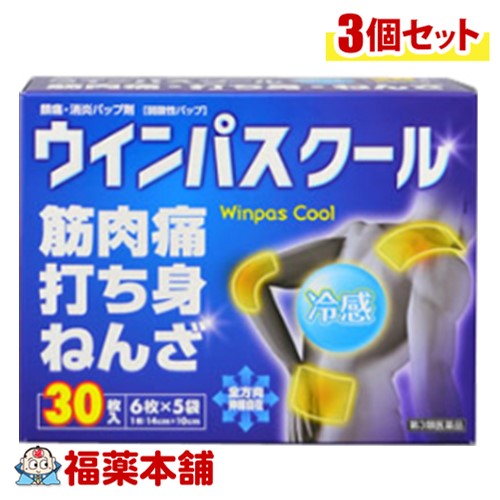 【第3類医薬品】帝國製薬 ウインパスクール 30枚入×3個 [宅配便・送料無料]