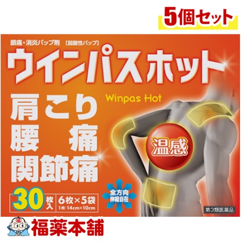 【第3類医薬品】帝國製薬 ウインパスホット 30枚入×5個 [宅配便・送料無料]