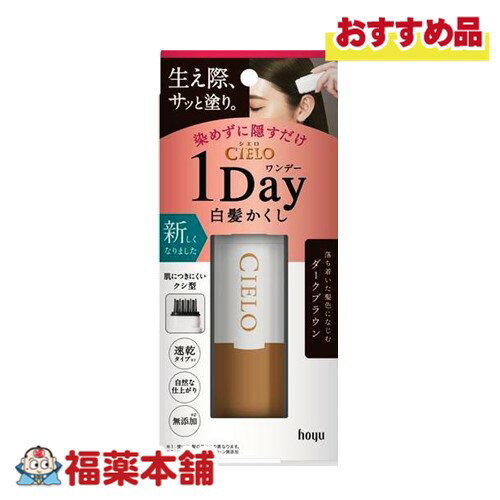 CIERO 1Day 白髪隠し 9ml (ダークブラウン) [ゆうパケット・送料無料]