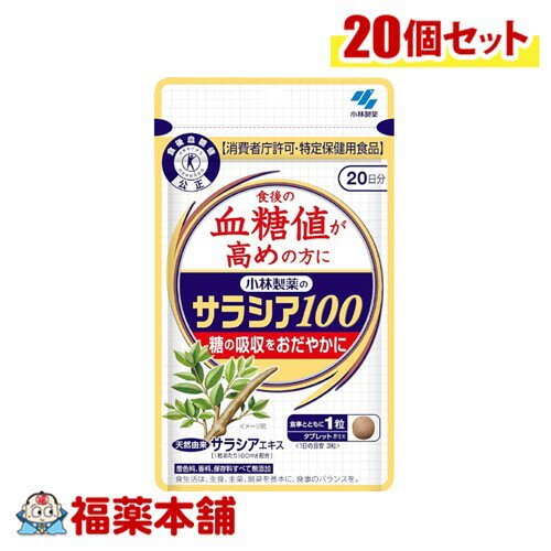 小林製薬 【特定保健用食品】 サラシア100 60粒×20個 [宅配便・送料無料]