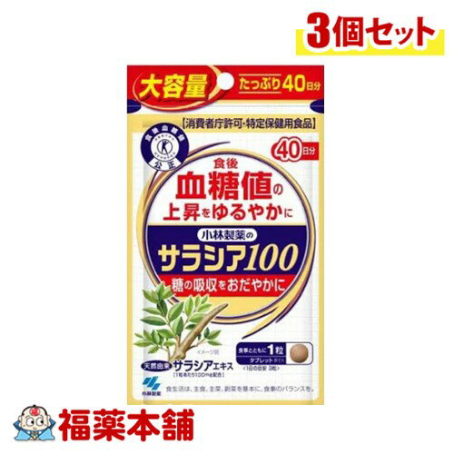 小林製薬 【特定保健用食品】 サラシア100 (大容量) 120粒×3個 [ゆうパケット・送料無料]