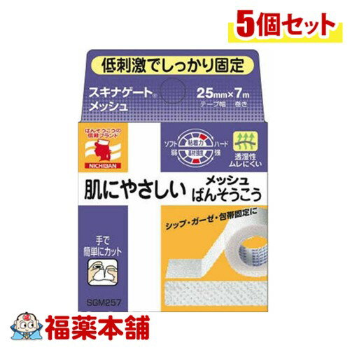 ニチバン スキナゲート 肌にやさしいメッシュ絆創膏 25mm×7m×5個 [ゆうパケット・送料無料]