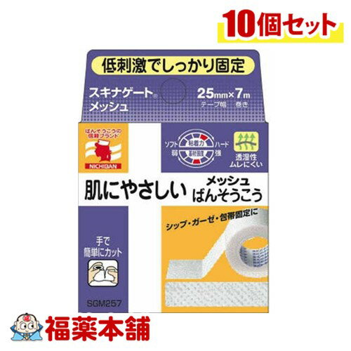 ニチバン スキナゲート 肌にやさしいメッシュ絆創膏 25mm×7m×10個 [ゆうパケット・送料無料](4)