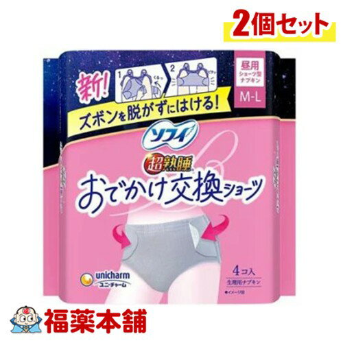 ソフィ おでかけ交換ショーツ 昼用 ショーツ型ナプキン M-L 4個入×2個 [宅配便・送料無料] ズボンを脱..