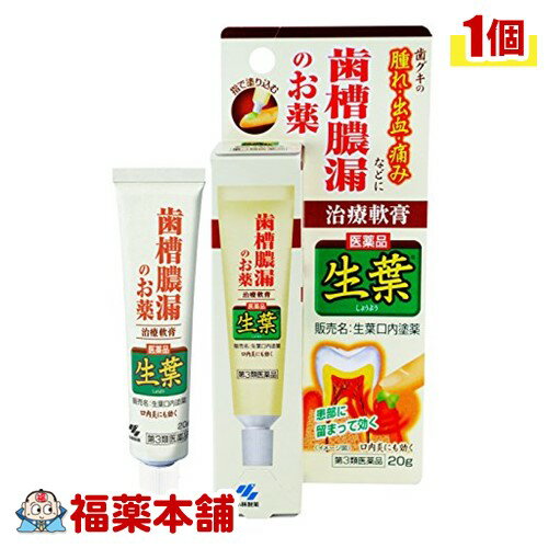 【第3類医薬品】小林製薬 生葉 口内塗薬(20g) [ゆうパケット・送料無料]